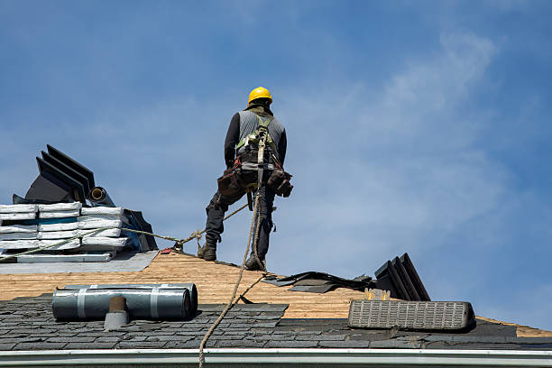 Professional Roofing technician working in Camby, IN